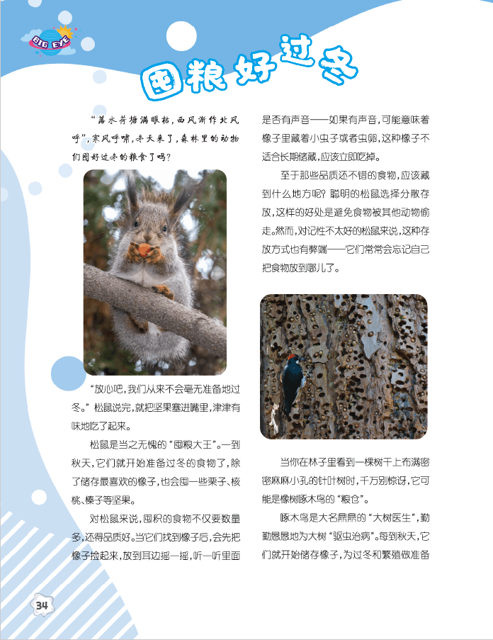 QQ图片20241101151649.png