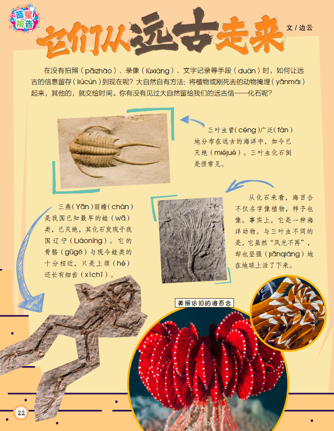 QQ截图20250609091124.png